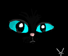 Olhos de gato negro