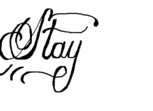 Stay...