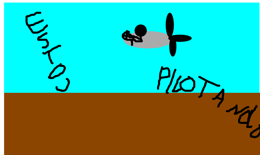 piloto