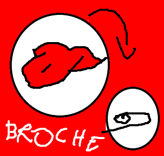 broche