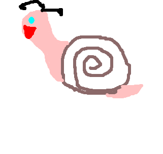 snail - Caracol