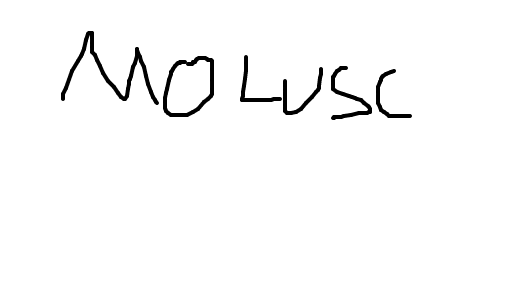 molusco