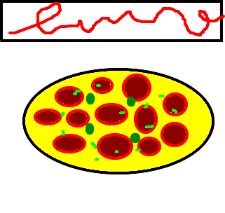 pizzaria