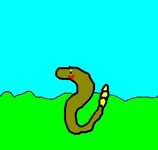 anaconda 