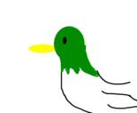 Pato verde