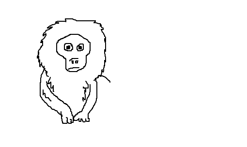 mico-leão-preto