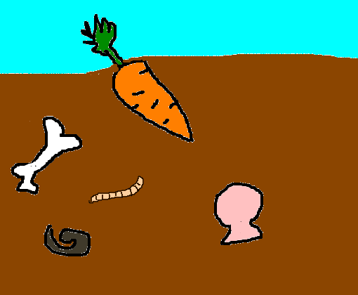 Cenoura na terra