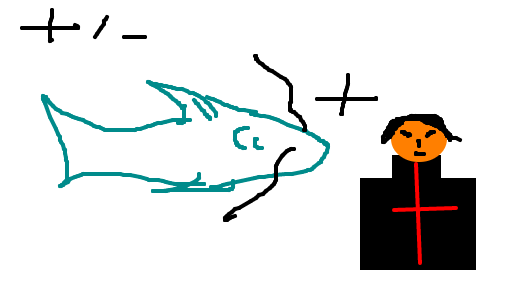 peixe-mandarim