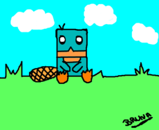 Perry!! <3