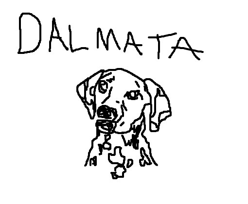 Cachorro Dalmata