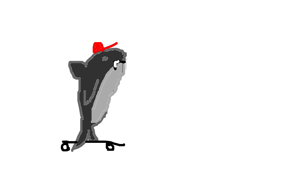 tubarão skatista