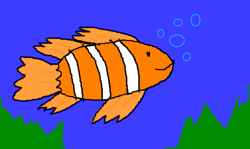 peixe-palhaço