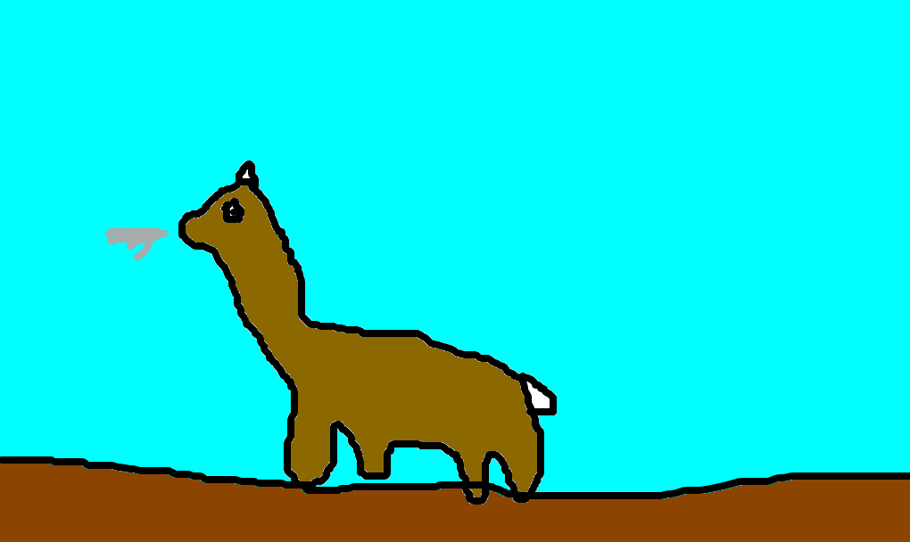 alpaca