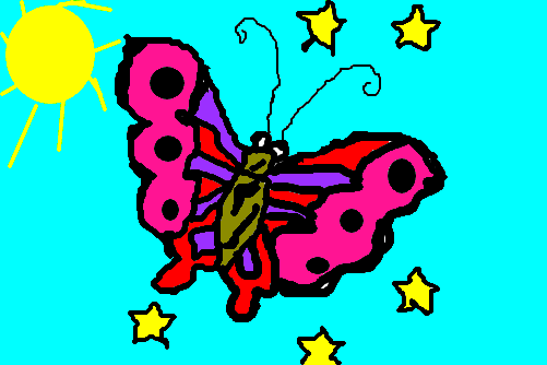 borboleta das estrelas