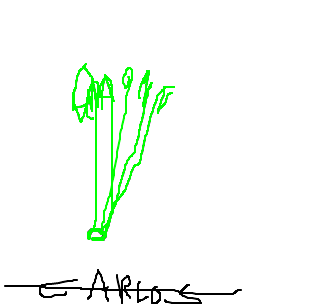 aspargo