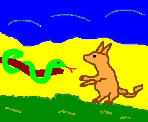 a cobra e o canguru