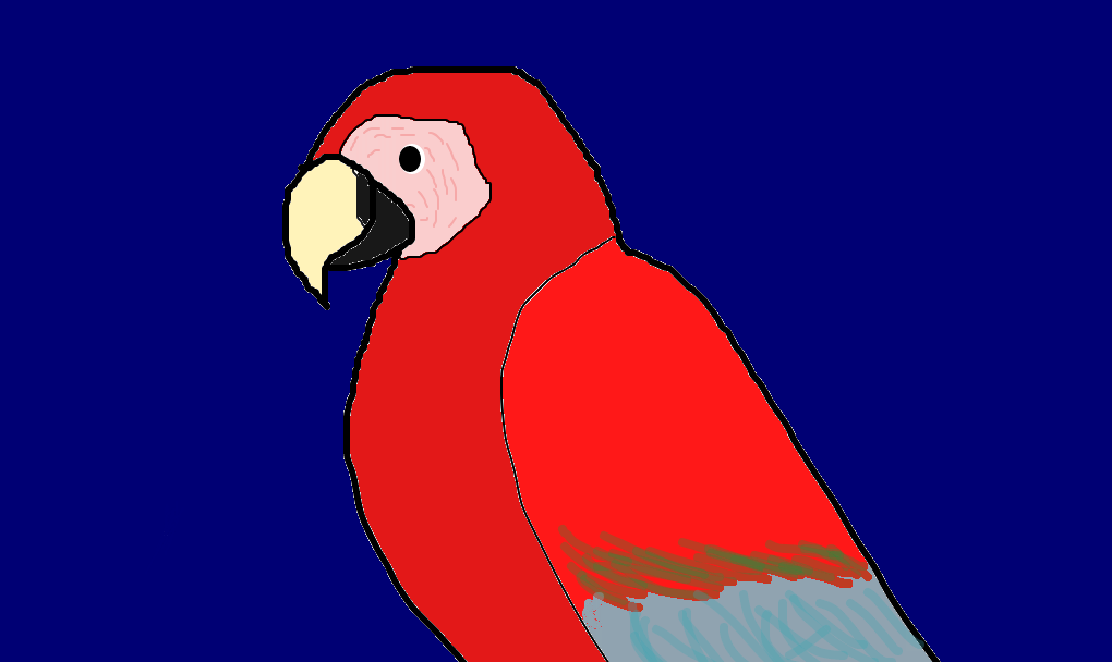 arara-vermelha