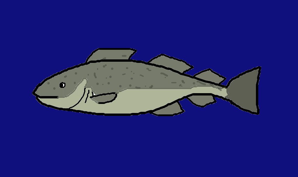 bacalhau