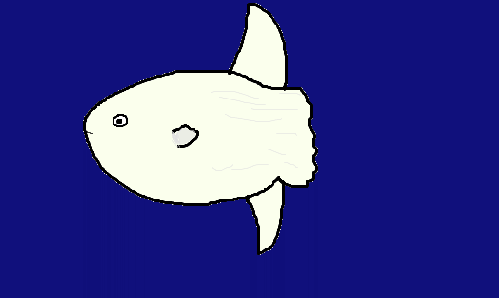 peixe-lua