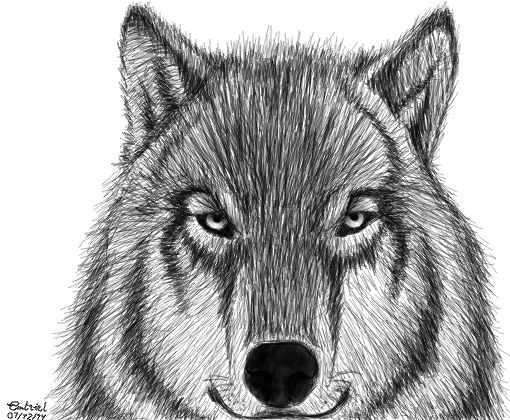 Madimbu - Desenho de wolflobito - Gartic