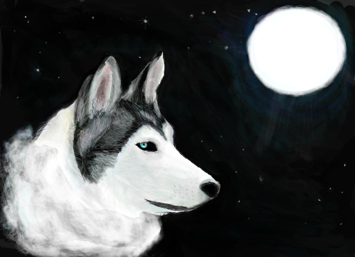 Lobo e a lua