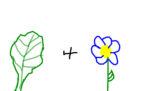 couve-flor 