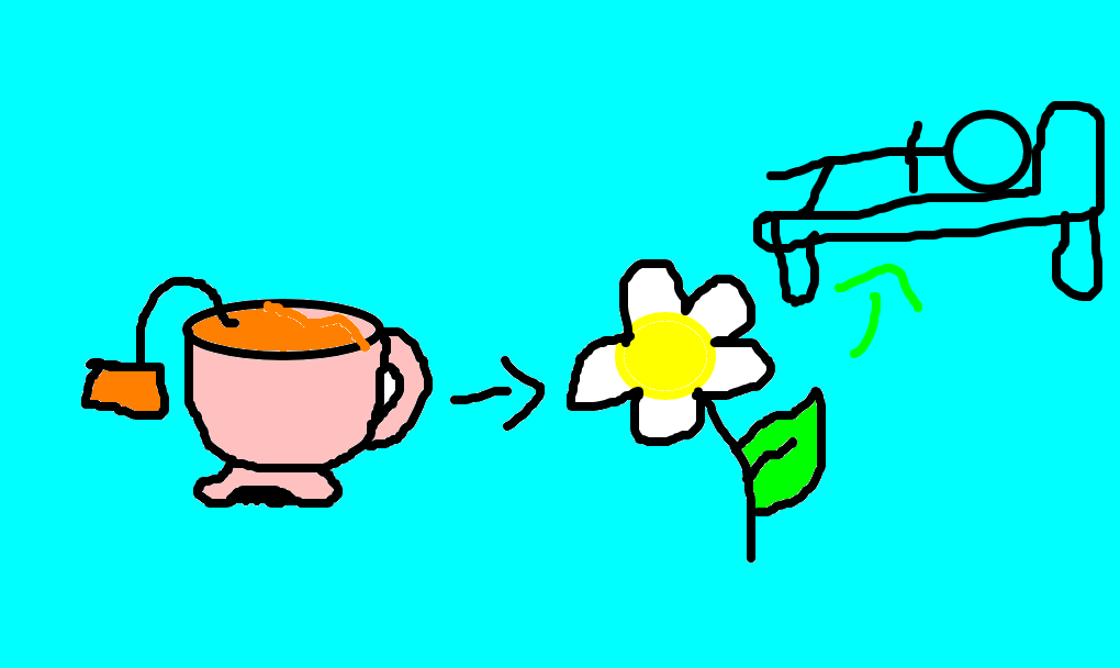 chá de camomila