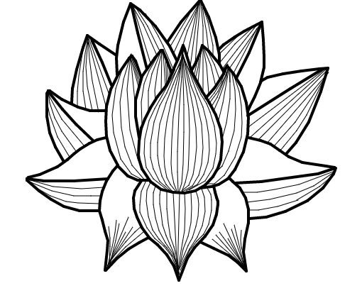 Flor De Lotus - Desenho de choorabooy - Gartic