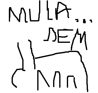 mula-sem-cabeça