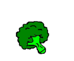 Brócolis 