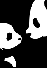 Panda amor de mãe