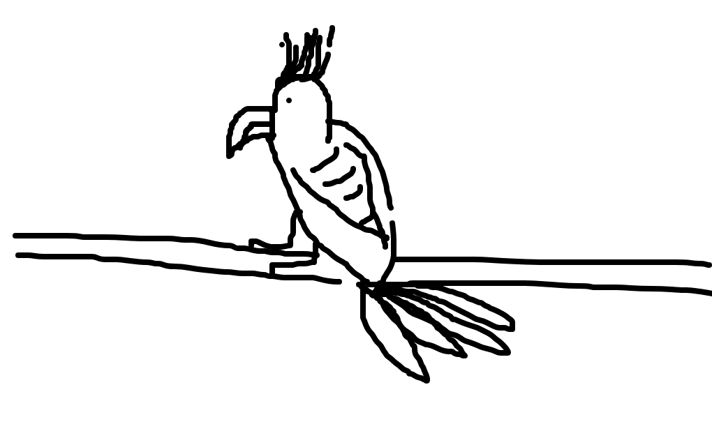 pássaro-lira