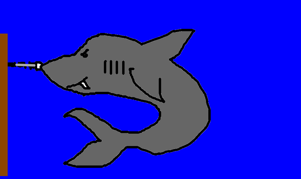 tubarão furadeira