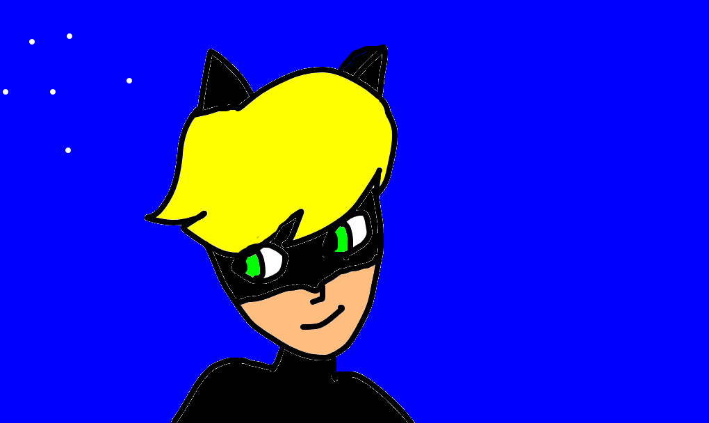 cat noir