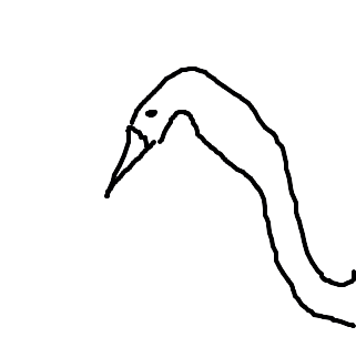 cisne