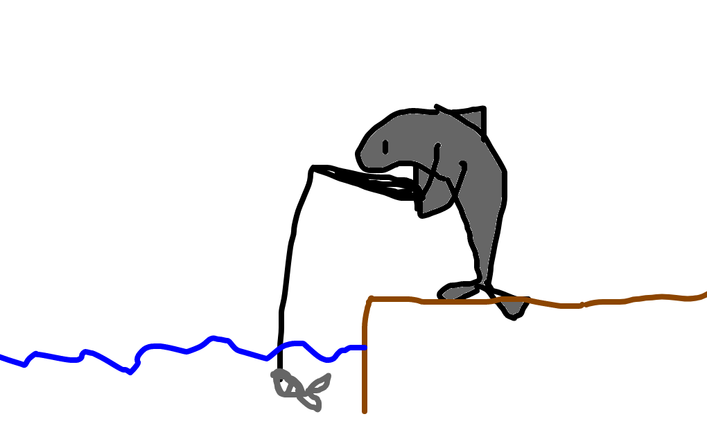 golfinho pescador