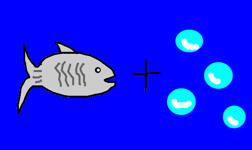 peixe-bolha