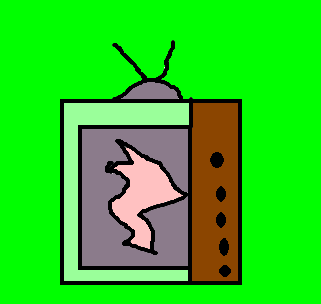 televisÃ£o