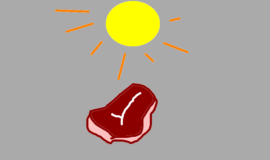 carne de sol