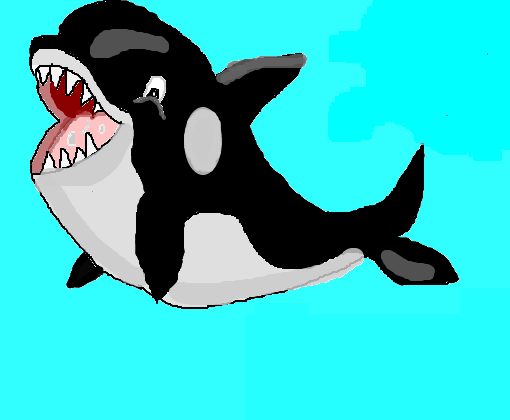 orca :3