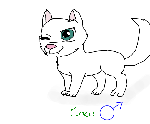 adopt#2 floco