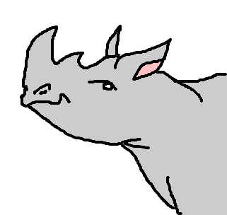 rinoceronte