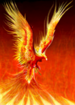 Phoenix, the birth from the ashes