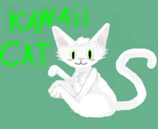 kawaii cat