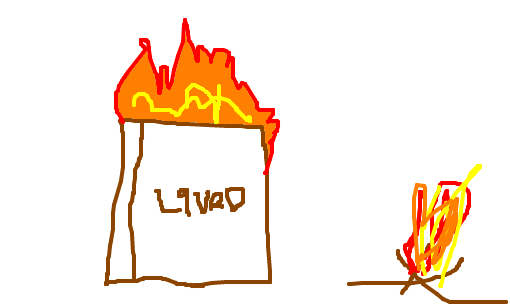 queime depois de ler