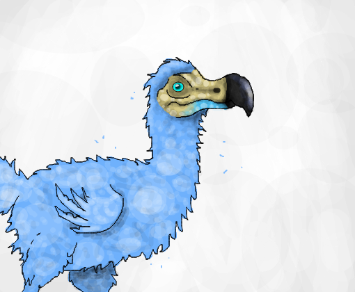dodo :3