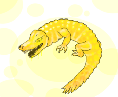 golden aligator