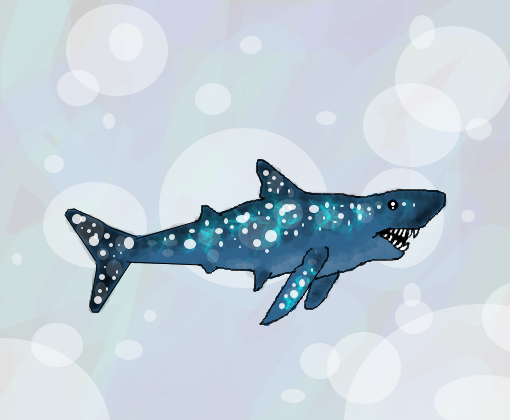 star shark p/concurso