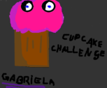 Cupcake Challenge