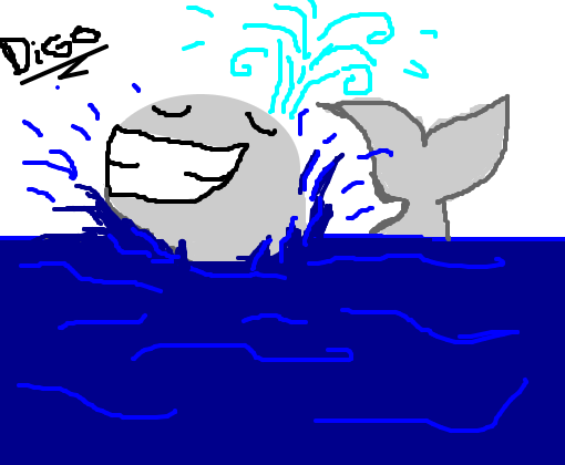 Baleia Sorridente